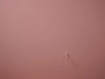 Chaturbate Nude Webcam of bella_adams_