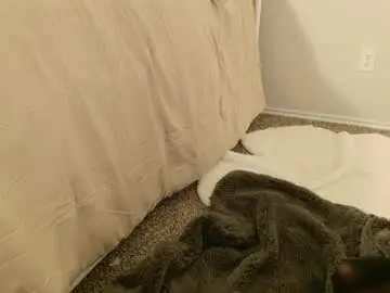 Chaturbate Live Sex Cam of elisparadisex