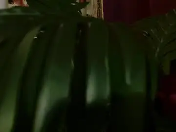 Chaturbate Best Webcam of imcarrieberry