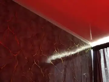 Chaturbate Live Porn of woondeer17