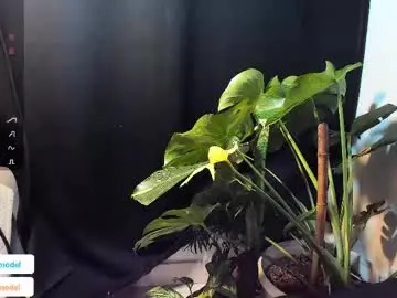 Chaturbate Live Sex of lucasanto_