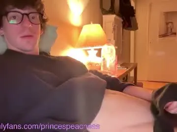 Chaturbate Adult Webcam of princespeaches