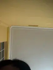 Dscgirls Sex Cam of Selenaa selenaa