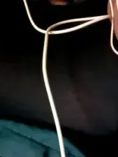 Dscgirls Sex Chat of Disha