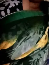 Dscgirls Best Webcam of Disha