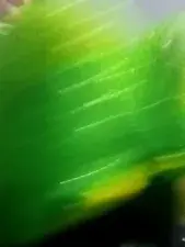 Dscgirls Private Sex Chat of Sexyrose