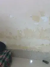 Dscgirls Live Sex Cam of Chulbuli25
