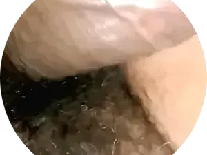 Dscgirls Free Live Porn of Cutehotboy01