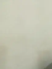 Dscgirls Sex Cam of Karina