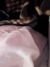 Dscgirls Private Sex Chat of Shilpi