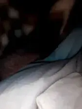 Dscgirls Live Sex Cam of Shilpi