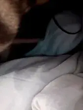 Dscgirls Adult Webcam of Shilpi