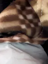 Dscgirls Adult Video Chat of Shilpi