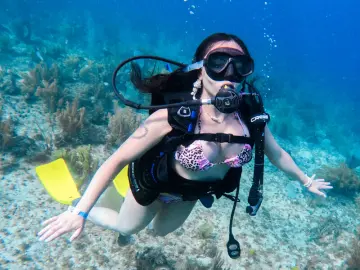 Livejasmin Live Sex of AliceSampaoli