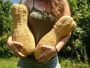 Myfreecams Free Porn Cam of GirlOffGrid