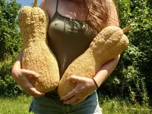 Myfreecams Nude Webcam of GirlOffGrid