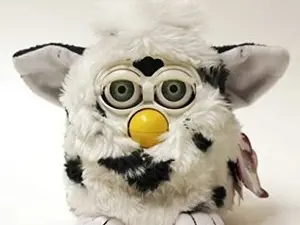 Myfreecams Best Webcam of TestCam97