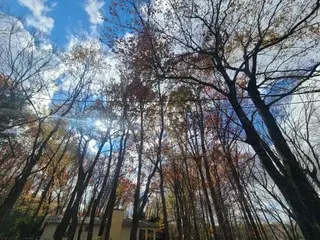 Streamate Best live sex cam show of JoshC211