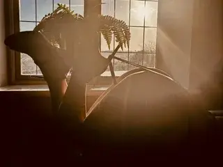 Streamate Live Sex Cam of KatieCarterX