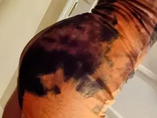 Streamate Best Webcam of secrethoneypotxo