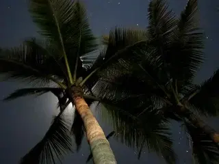 Streamate Live Sex of Aaron110011