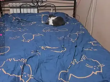 Stripchat Free Live Porn of eva_zero