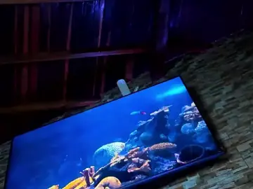 Stripchat Adult Video Chat of Seth_Owner