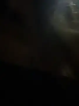 Stripchat Free Live Porn of Hall_16