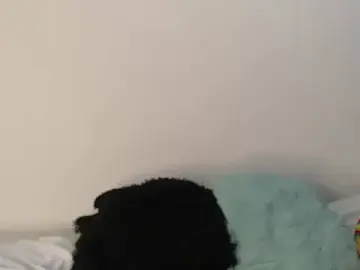 Stripchat Adult Video Chat of EmmilyConnor