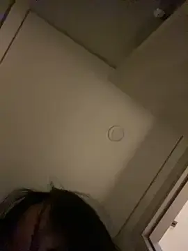 Stripchat Live Porn of MEOW_MEO