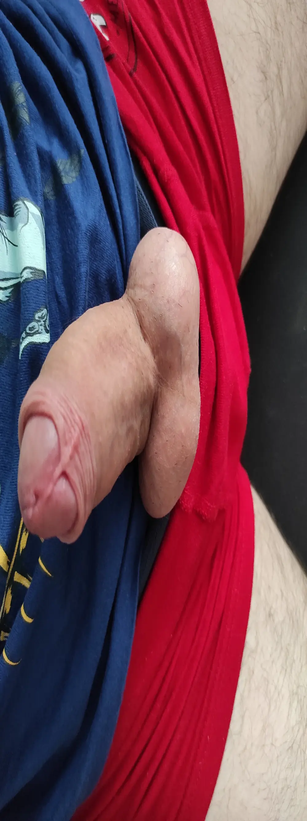 DickStaza