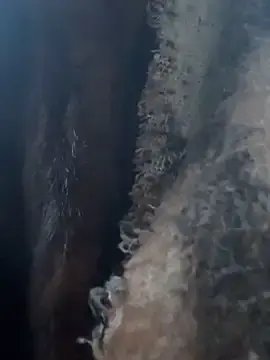 Stripchat Private Sex Chat of notyourtypicalAnna