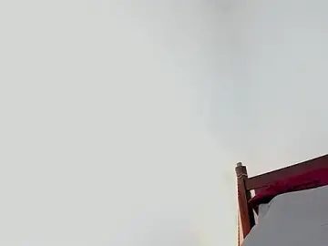 Stripchat Watch Live Sex Cams of Austin_nice_cock