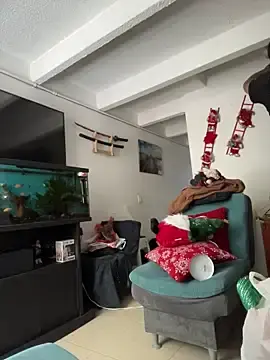 Stripchat Adult Video Chat of charlotte_stevenss_