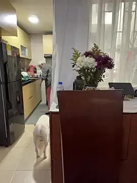 Stripchat Adult Video Chat of charlotte_stevenss_