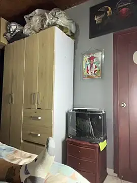 Stripchat Free Porn Cam of charlotte_stevenss_