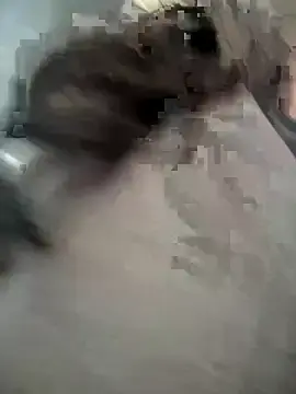 Stripchat Live Porn of emma_tour