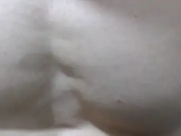 Stripchat Live Porn of Rocky_Muscle