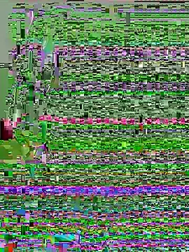 Stripchat Live Sex of Putitatease