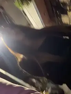 Stripchat Adult Webcam of lindaandtony