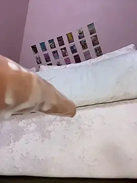 Stripchat Adult Webcam of Rinamay_