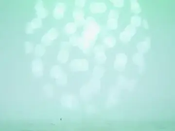 Stripchat Live Sex Cam of 1X-one