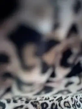 Stripchat Free Live Porn of Natalia_vidal