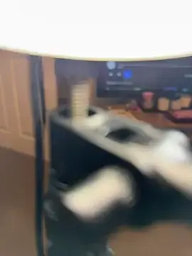 Stripchat Best live sex cam show of Lacey-BBW