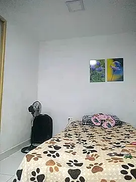 Stripchat Sex Chat of Cameron_puppy