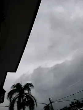 Stripchat Adult Webcams of LucyNatural