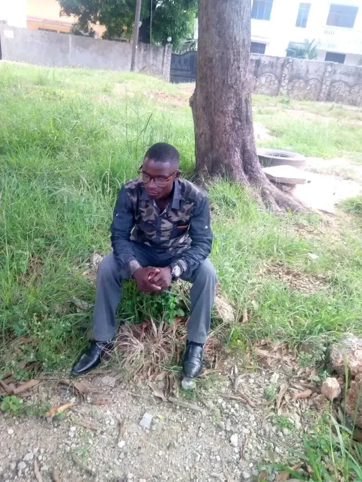 Master_stallionbbc12