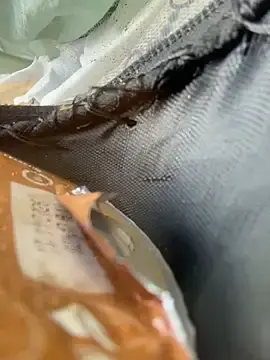 Stripchat Free Live Porn of Ninabigtitied