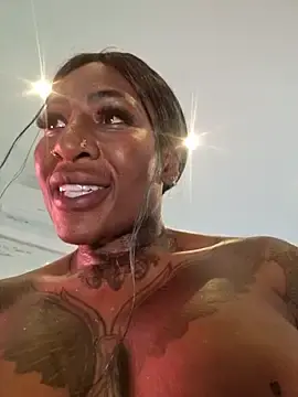 Stripchat Free Porn Cam of ThehotChocolate