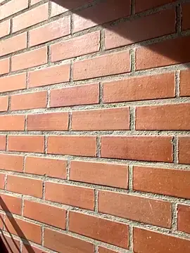 Stripchat Free Live Porn of star_anastasia